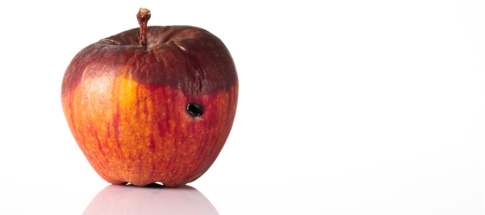 ROTTEN APPLE definition in American English